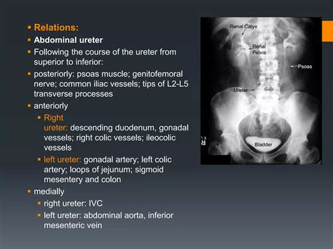 Kub - xray and usg | PPTX