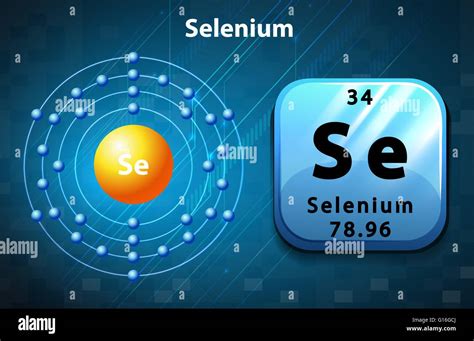 Image result for Atom Structure of Selenium