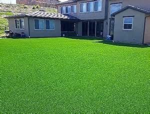Korean grass seeds for lawn,Lawn grass seeds korean,100% germination ...