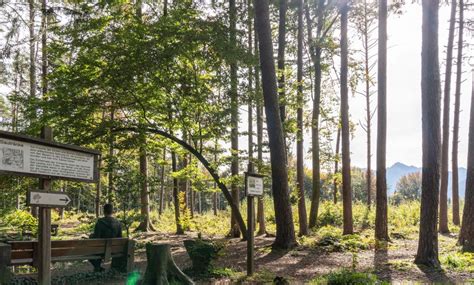 Sautränkeweg: Wege in den Wildpark Feldkirch | Urlaub am Bodensee ...