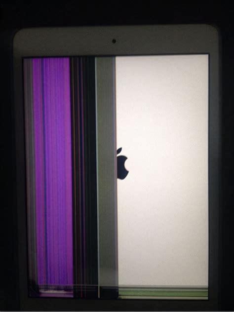 苹果ipad怎么旋转屏幕（苹果ipad旋转屏幕设置操作步骤）