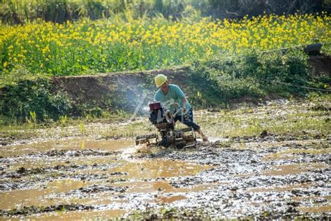 广西梧州：春耕备耕有序开展-人民图片网