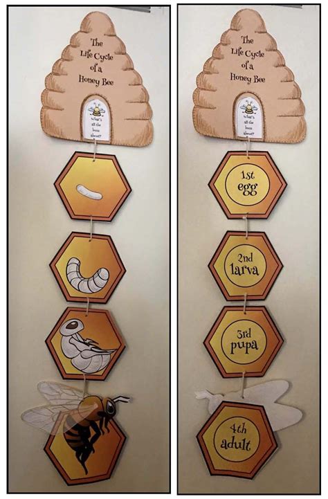 Honey Bee Crafts 的图像结果