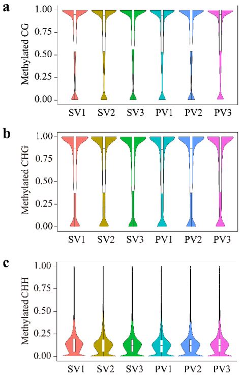 Grafting with Different Rootstocks Induced DNA Methylation Alterations ...