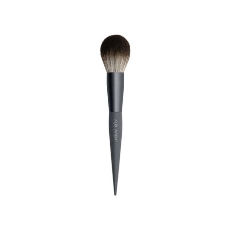 Powder Brush – Alix Avien India