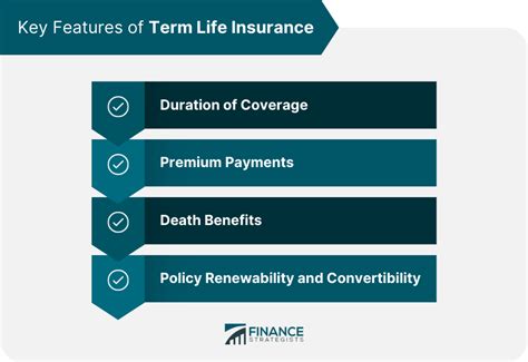 Term Life Insurance Definition 的图像结果