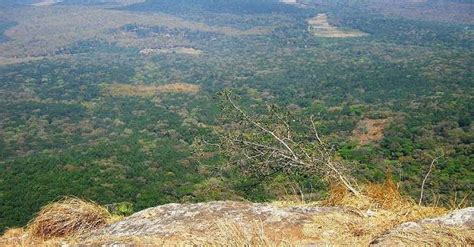 Needle Rock View Point To Visit This Hidden Gem To Witness In 2026