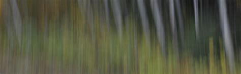 Digital Photography 的图像结果