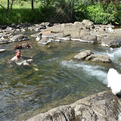 TAPU CREEK CAMPERVAN PARK - Campground Reviews & Photos - Tripadvisor