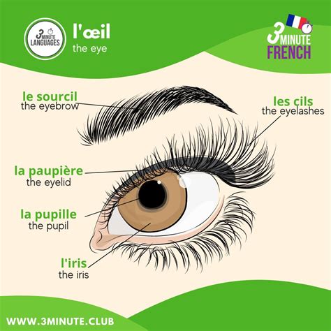 How To Say Eyes In French