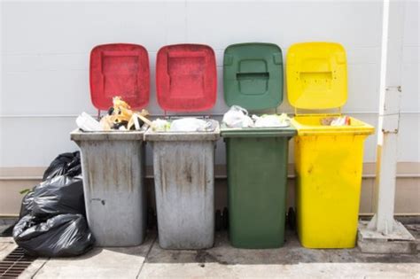 Bulk Waste Collection 的图像结果