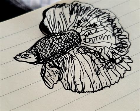 Best Fountain Pens for Drawing 的图像结果