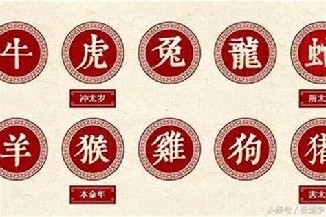 属鸡人2015年运势运程，广东中山市社保交满15年