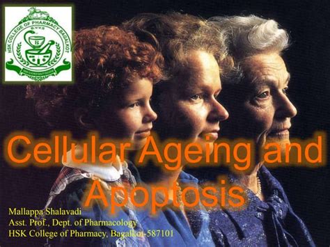 Cellular Aging 的图像结果