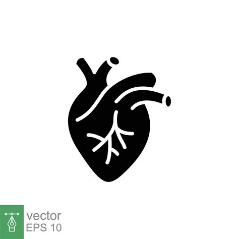 Human heart icon. Simple solid style. Internal organ, real, cardiology, cardiac anatomy, medical ...