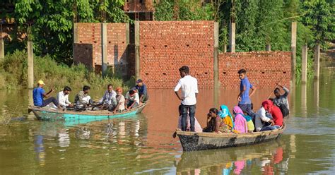 Destroyed crops, no relief, struggling to feed cattle: UP’s flood-hit ...