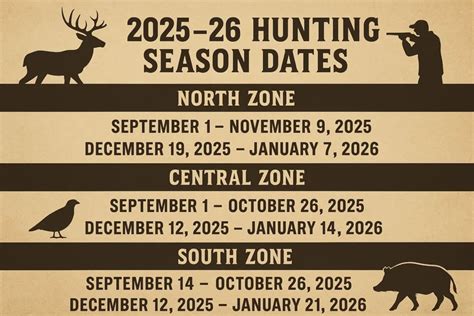 Dove Hunting Season Texas: What You Need to Know