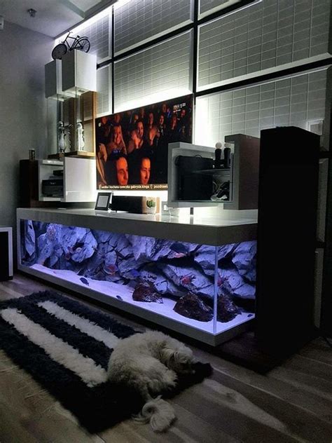 Bildergebnis für fire tv aquarium