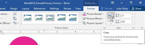 Formatting Pictures in Microsoft Word