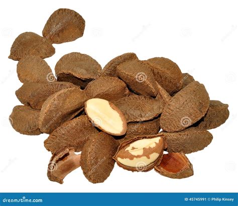 Picture Of Brazil Nuts In Shell at Darcy Housley blog