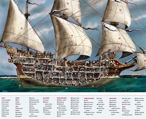 Cross-section of galleon from the Age of Sail Naval History, Military History, Old Sailing Ships ...