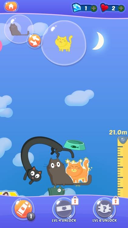 Stack Cats Challenge 的图像结果