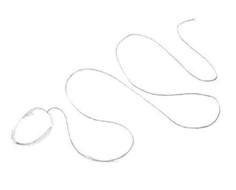 Drawing with Python Tutorial 的图像结果