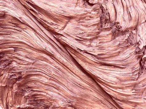 Image result for Solid Log