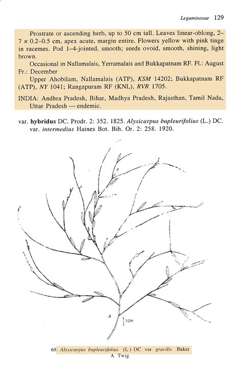 Herbarium JCB
