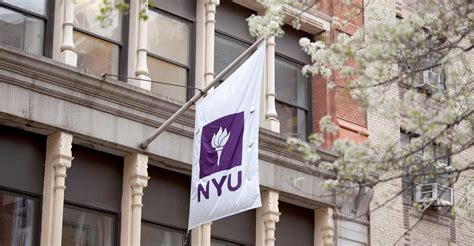 Полный гайд по поступлению в вуз New York University — Teletype