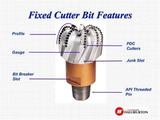 Image result for Fixed Cutter Bits