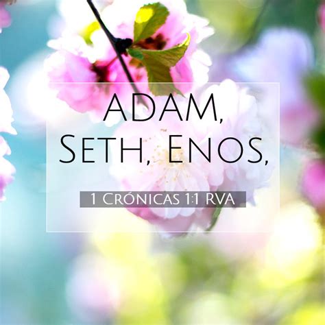1 Crónicas 1:1 Significado del versículo de la Biblia | ADAM, Seth, Enos,