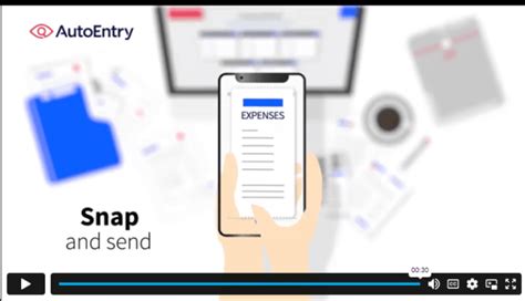 How to Use Auto Entry 的图像结果