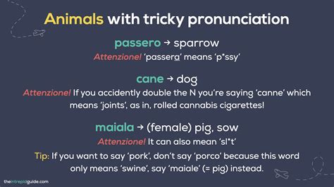 40+ Italian BAD Words with DIRTY DOUBLE Meanings + 📚 FREE PDF Cheat ...