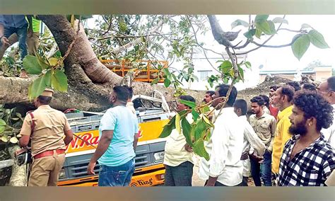 2 killed as tree falls on tanker in Krishnagiri