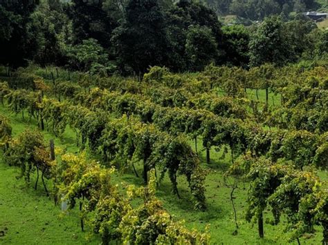 DELECTABLE TOURS (2026) All You Need to Know BEFORE You Go (with Photos ...