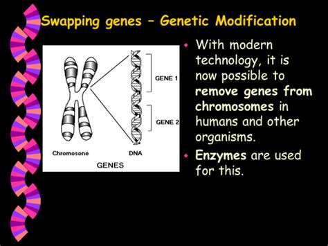 What Is Genetic Modification 的图像结果