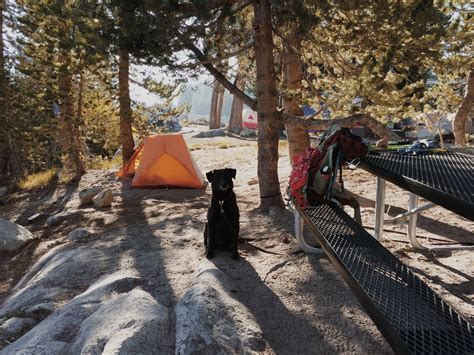 Marmot Rock Campground in Sierra National Forest, California: Reviews ...