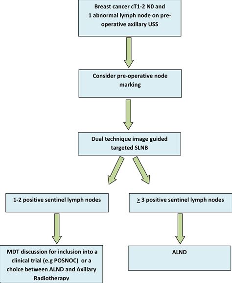 Ultrasound-positive axillary lymph nodes in early breast cancer: can a ...