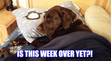Is this week over yet? - Imgflip