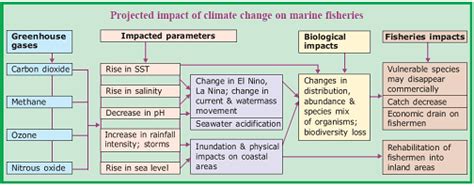Central Marine Fisheries Research Institute | Home