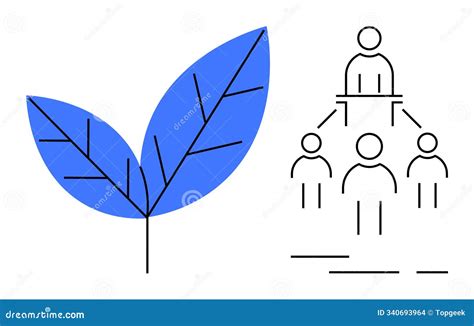 Organization Animation 的图像结果