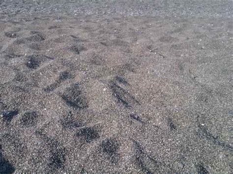 Dyskos beach Lentas south Heraklion | Crete - Cretamap.com