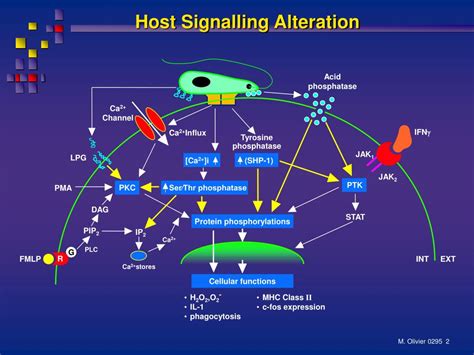 Image result for Host-Pathogen