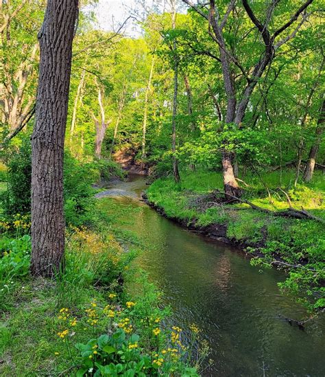 Big Brook Preserve (Colts Neck): All You Need to Know