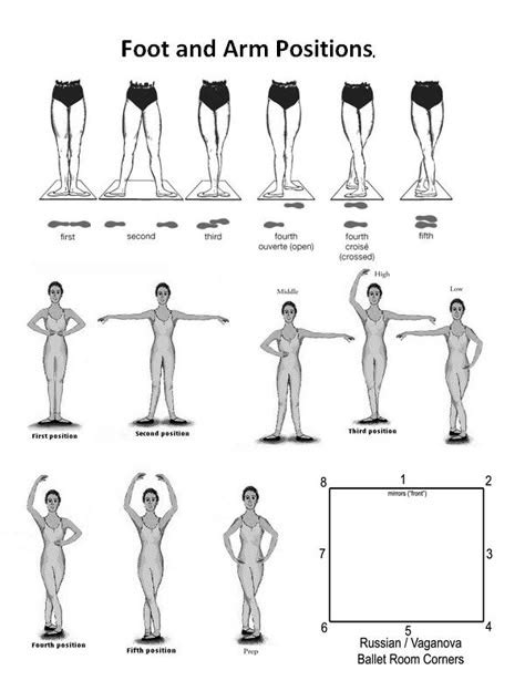 Image result for Basic Ballet Exercises
