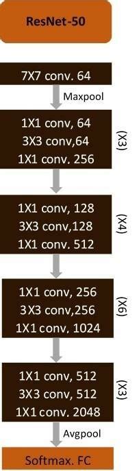 Image result for Regression Using Resnet50