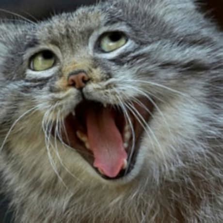 Amazon.in: Buy GIGABYTE Z790 Eagle AX ATX Motherboard - Supports Intel ...