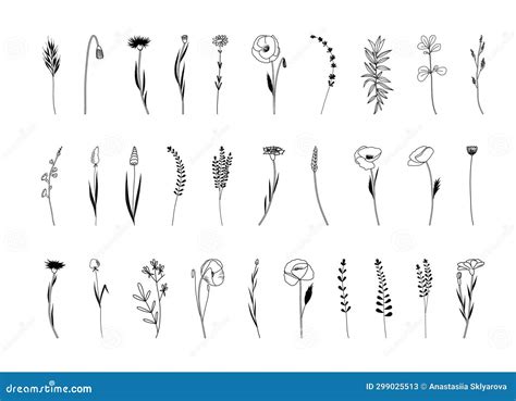 Botanical Abstract Line Arts, Wildflowers Line Art Drawing, Hand Drawn ...