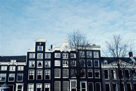 Yekkow Shoes 的图像结果